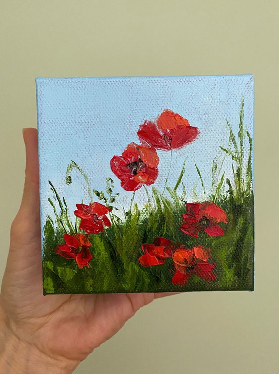 Poppies
