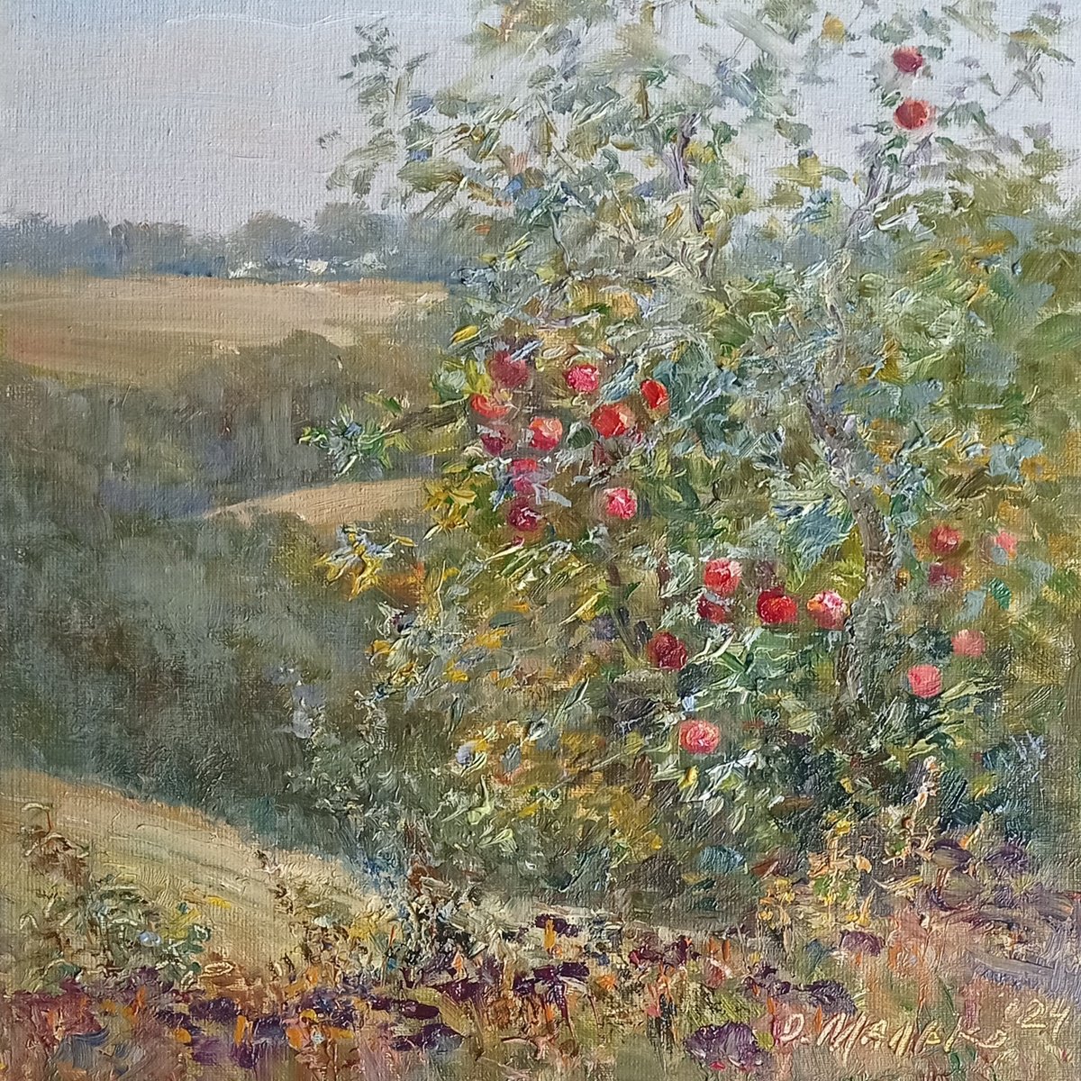 Red apples. Abandoned garden by Olha Malko