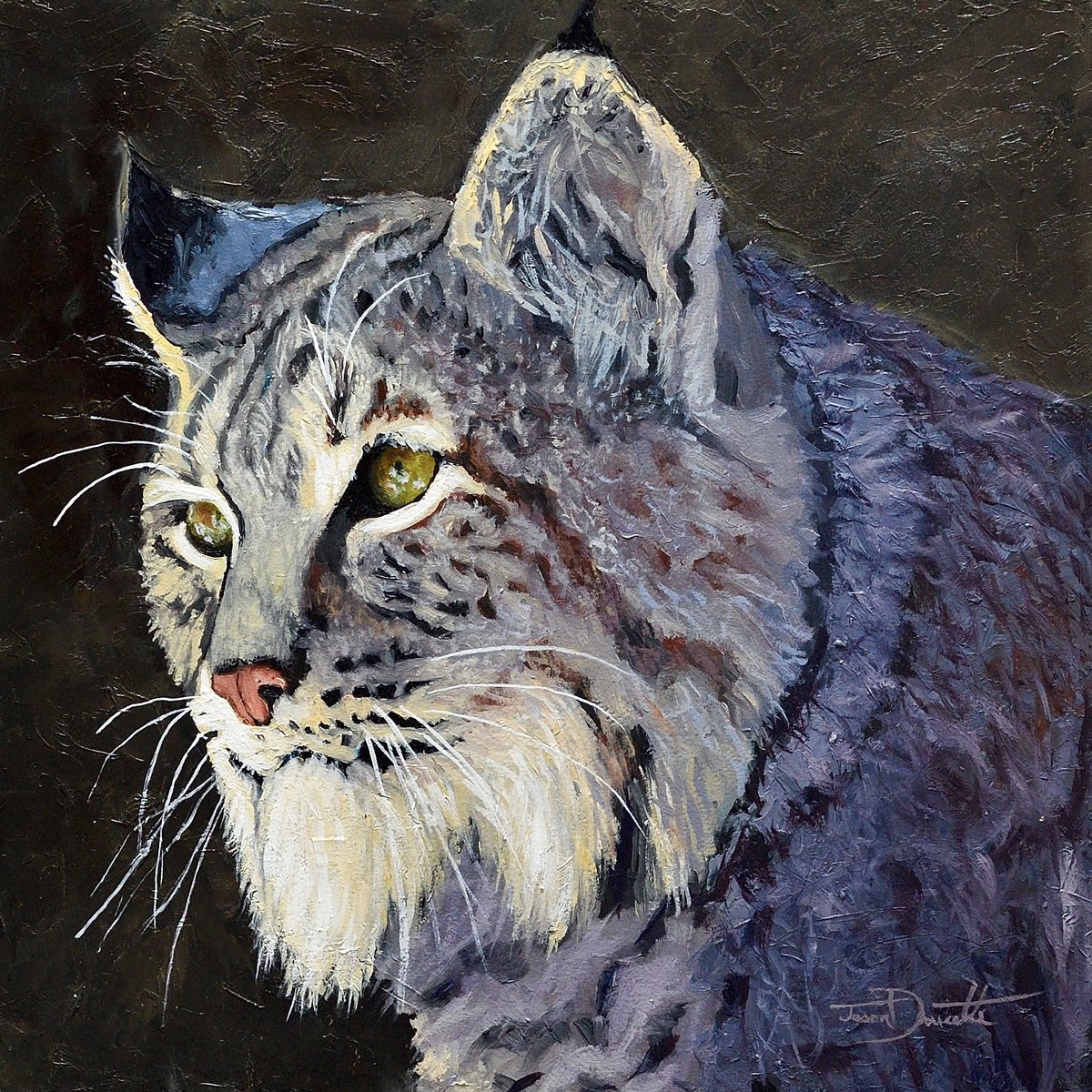 Photorealistic Animal Oil Painting By Jason Edward Doucette, 12 X 12, The Gaze - Bobcat, Original Artwork