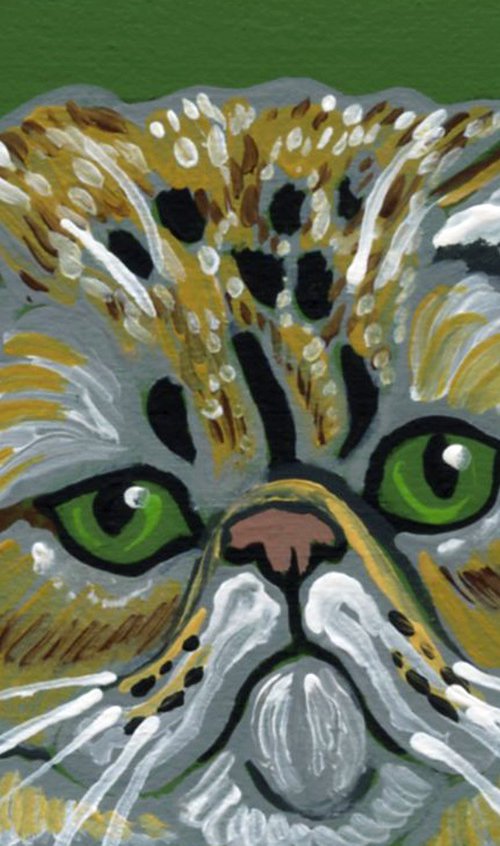 Persian Cat by Carla Smale