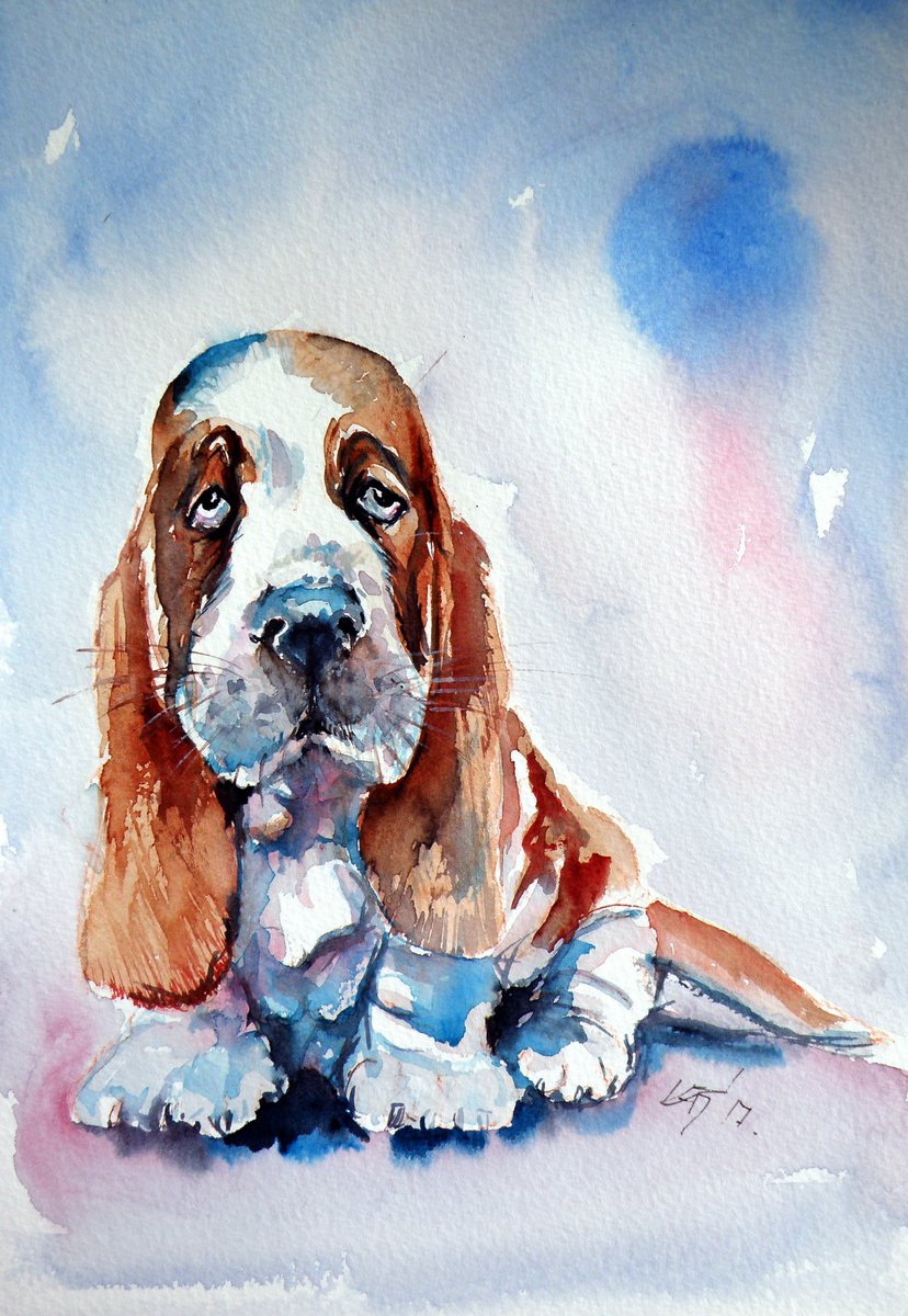 Basset hound puppy /27 x 19 cm/ by Kovcs Anna Brigitta