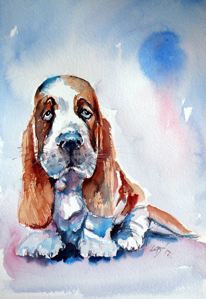 Basset hound puppy by Kovacs Anna Brigitta