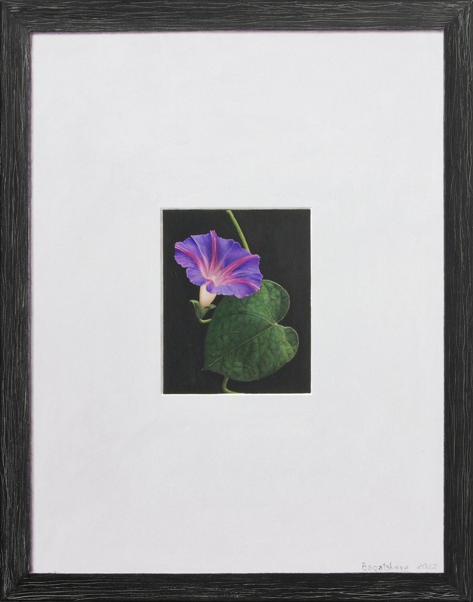 Photorealistic Still Life Acrylic Painting By Nataliya Bagatskaya, 22 X 28", Just A Bindweed..., Original Artwork