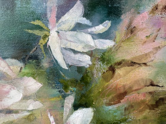 Delicate magnolia