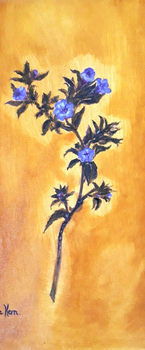 A Study of The Kurinji Flower (Strobilanthes) by Deepa Kern