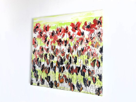 Poppy Flowers 2
