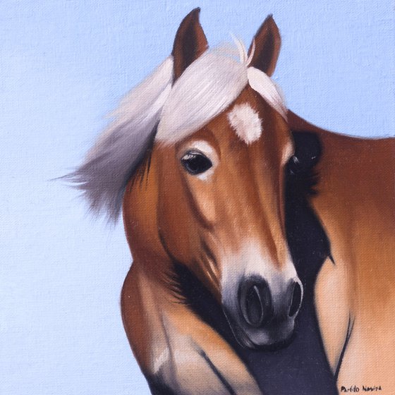 Horse Portrait 87