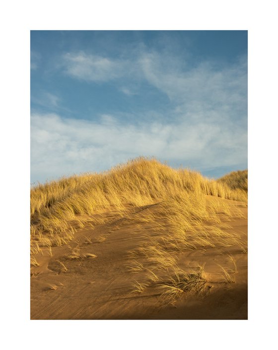 Late Dunes II