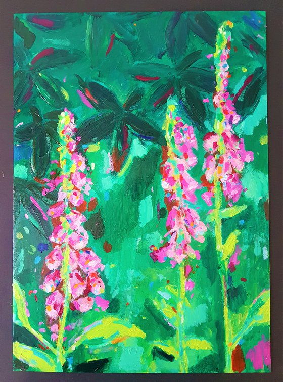 Foxgloves