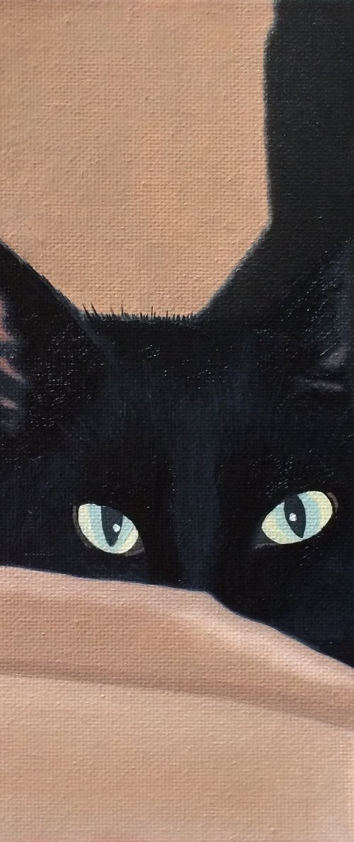 Cat In A Cardboard Box by Jill Ann Harper