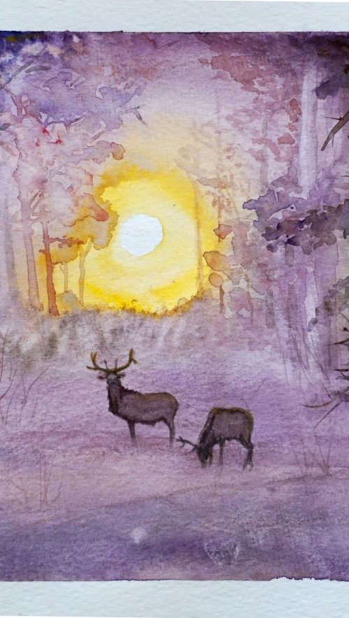 Early Morning by Yulia Schuster