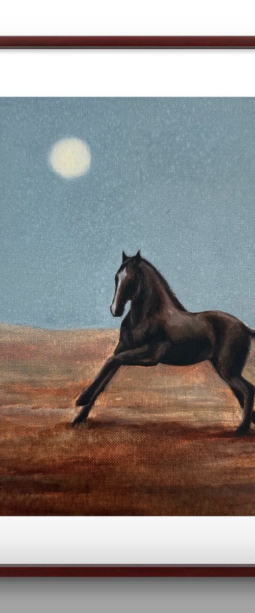 Black horse #6 by Alina Marsovna