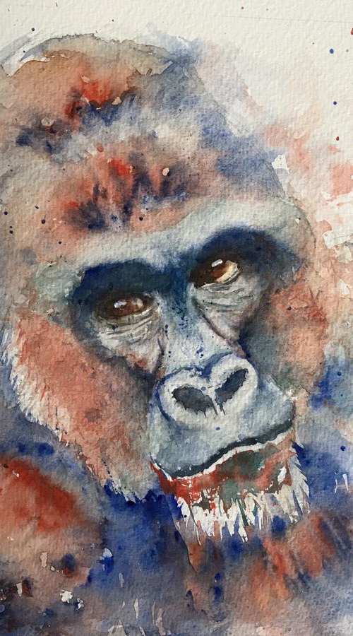 Gorilla by Sabrina’s Art