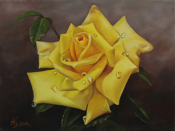 Yellove rose