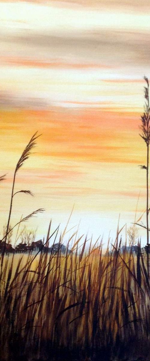 FEN REEDS by BARBARA  HARLOW