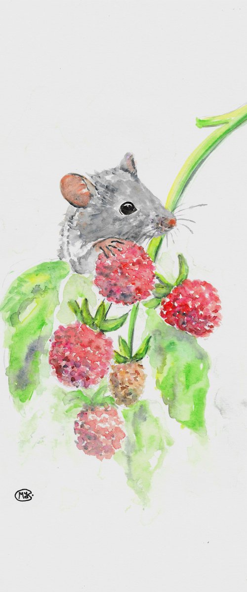 Field mouse and raspberries by MARJANSART