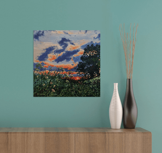 Evening Light - Sunset