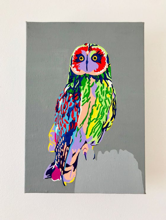 Hoo-Dini The Owl