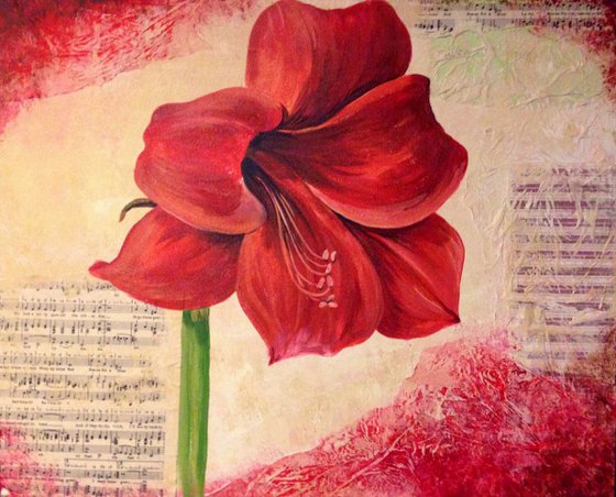 The Red Amaryllis