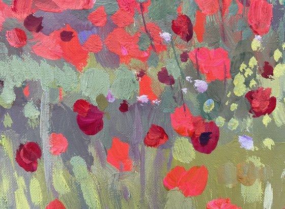 Poppy carpet