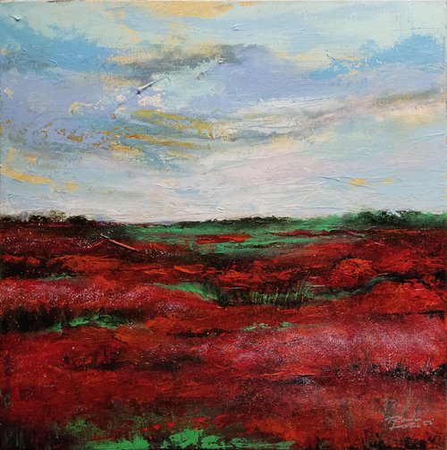 Field of poppies by Roman Kozomara