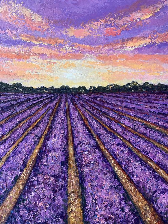 Lavender Sunrise