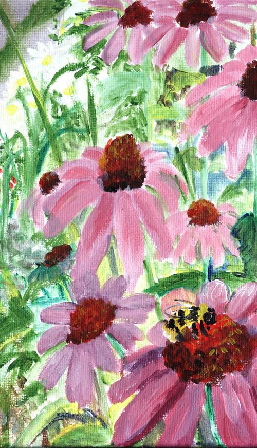 pink cone flowers in the border by Sandra Fisher