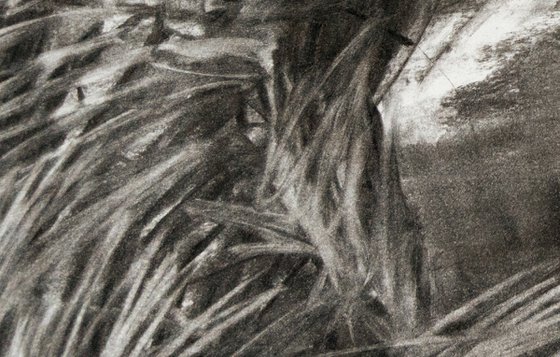 Top Withens, Wuthering Heights