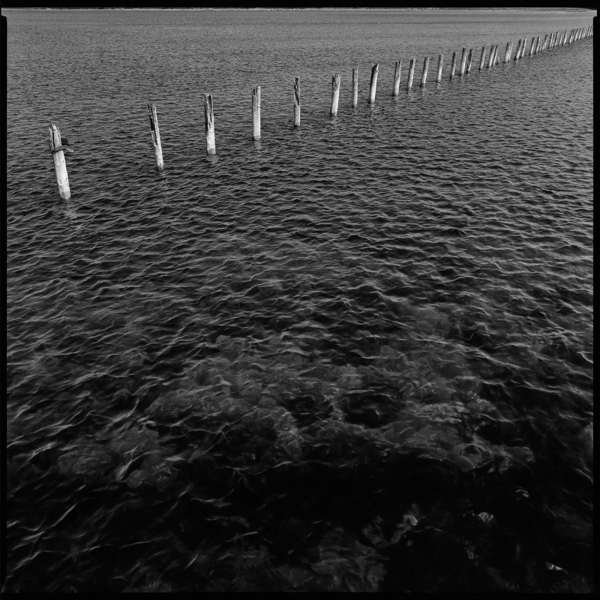 Geometric Landscape Photograph By Tom Hanslien, 60 X 60", Poles In The Water, Original Artwork