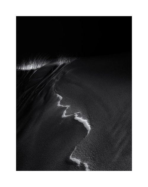 Dune Density II by David Baker