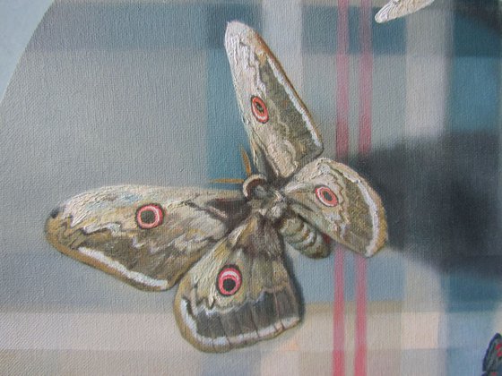 Butterflies on tartan pattern