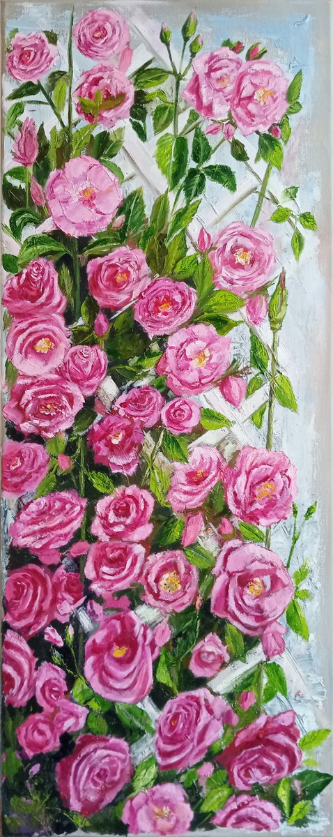 Bloom of pink roses by Ira Whittaker