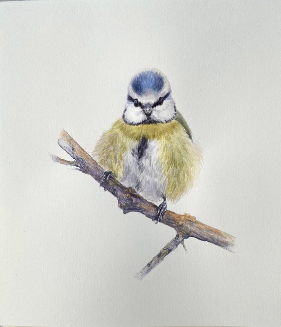 Nuthatch & Blue Tit (Set of 2)