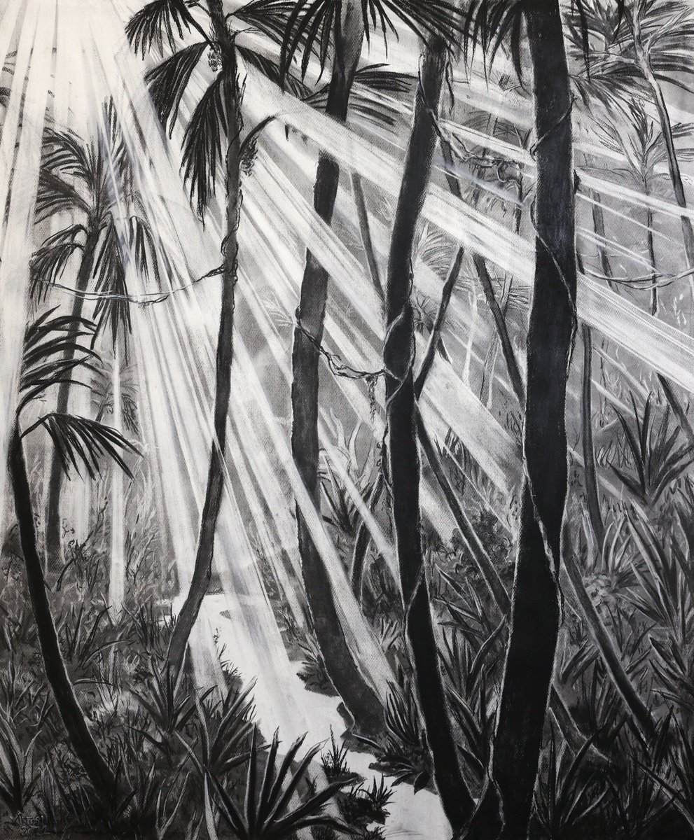 Photorealistic Landscape Charcoal Drawing By Dominic Virtosu, 41 X 49, Tropical Dream, Original Artwork