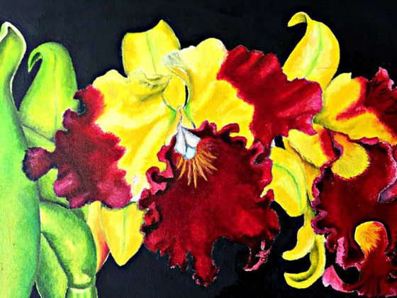 The Love of Orchids IV