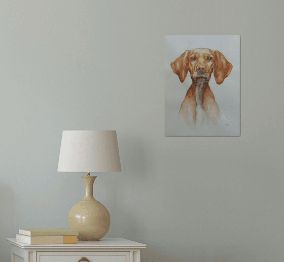 Good boy - dog portrait