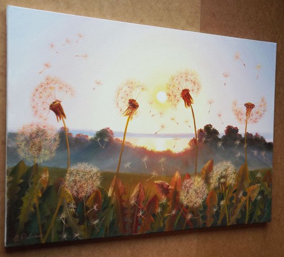 Sunset and Dandelions