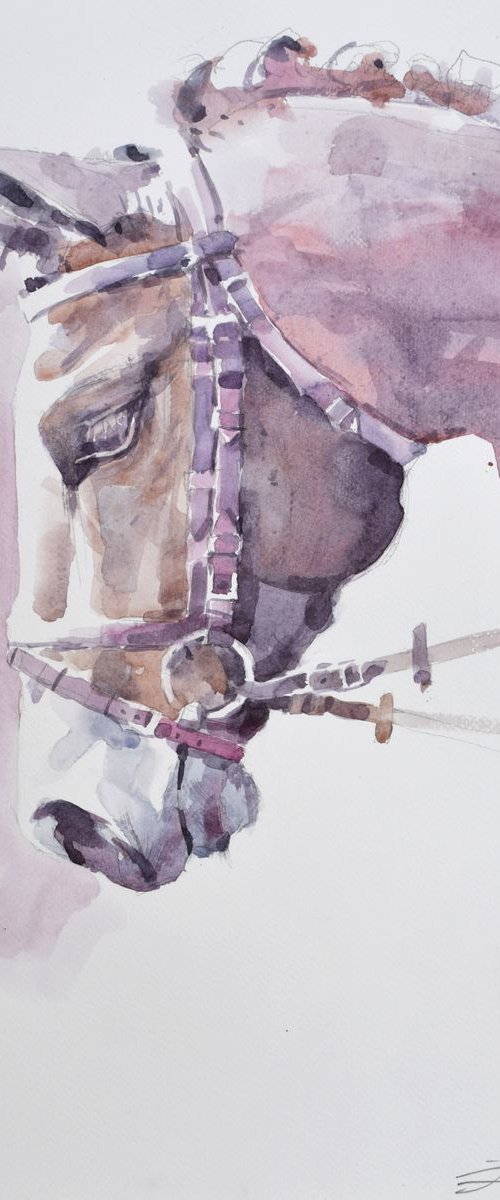 Horse head II by Goran Žigolić Watercolors