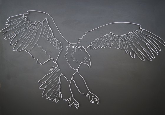 Bald Eagle in Flight Wire Drawing