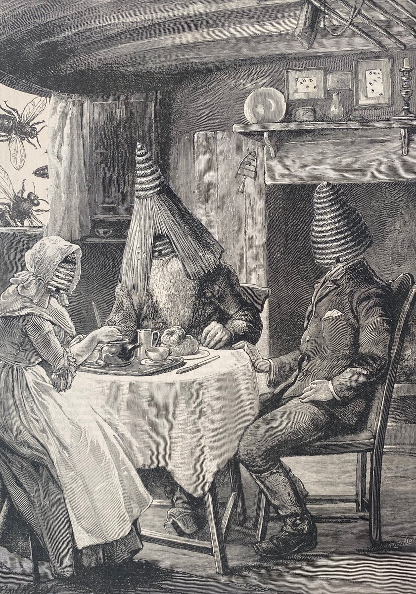 Surrealistic Portrait Collage By Tudor Evans, 6 X 9", Honey At The Poplars, Original Artwork