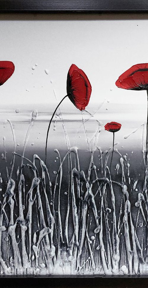 Poppy Mist by Carol Wood