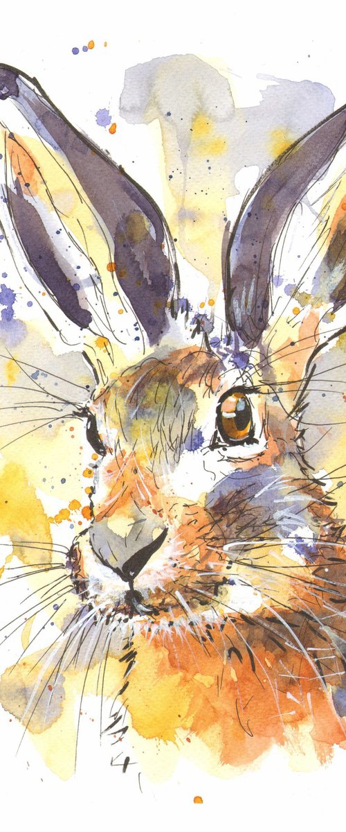 Hare 12 by Geoffrey Dawson