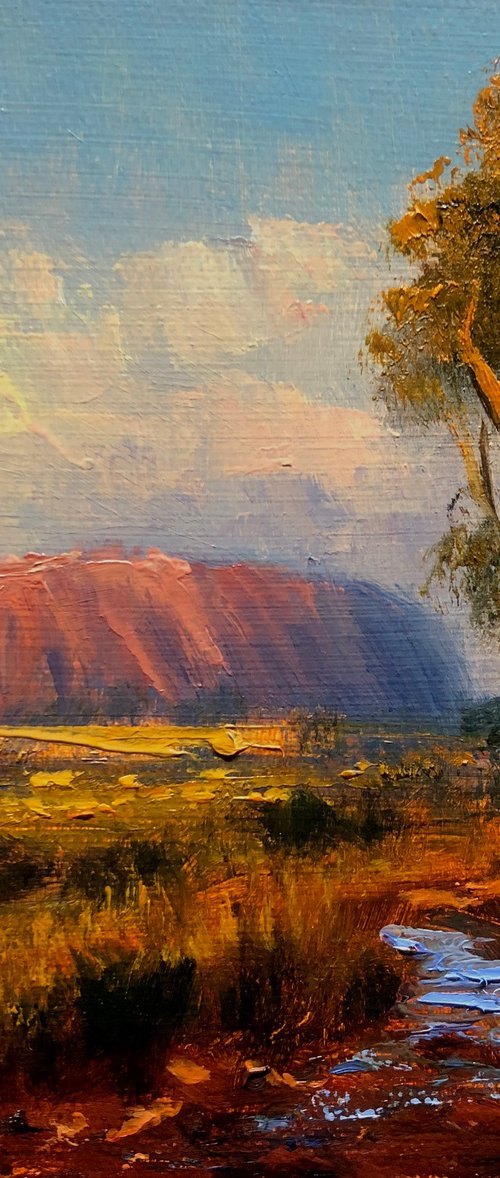 The Red Centre by Christopher Vidal