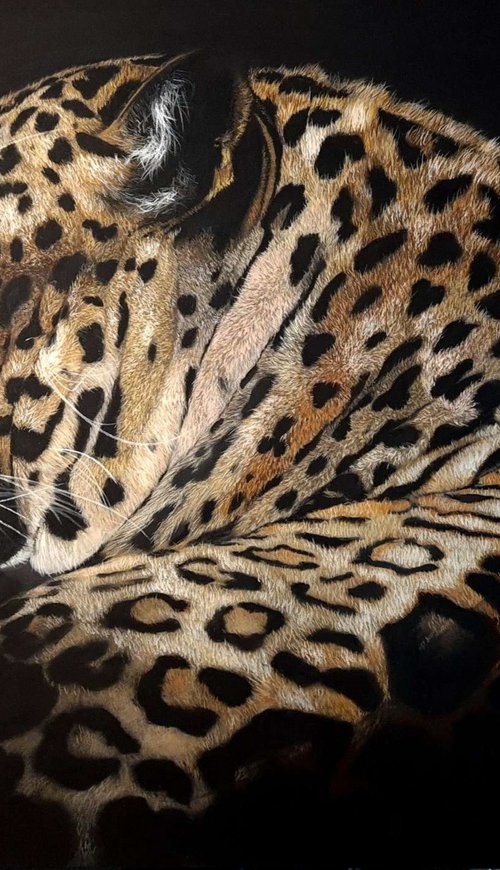 Leopard realism wild animals pastel on pastelmat by Deimante Bruzguliene