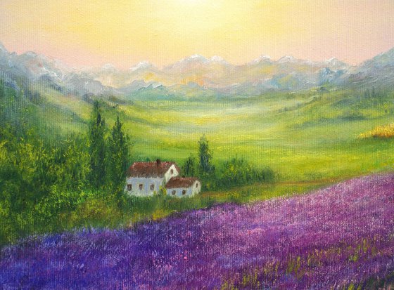 Lavender Provence