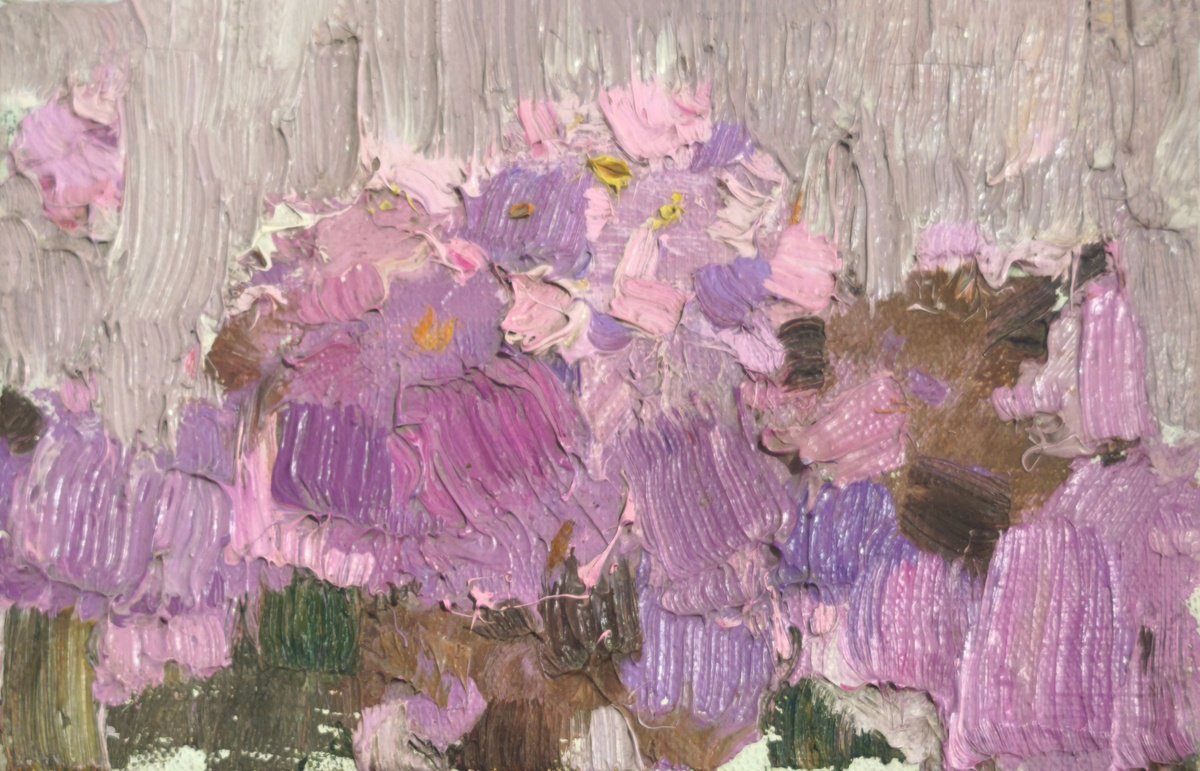 Fragment Of Sakura By Alexander Shandor, 8 X 5, Artwork For Sale On Artfinder