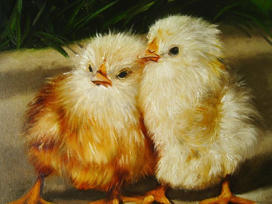 Two Fluffy Chicks