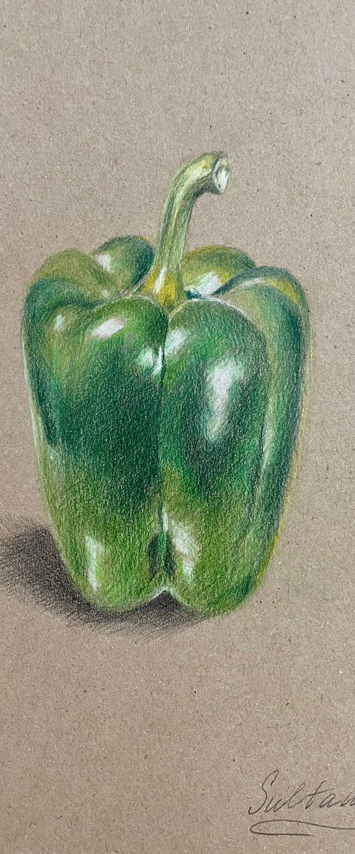 Sweet green pepper by Elvira Sultanova