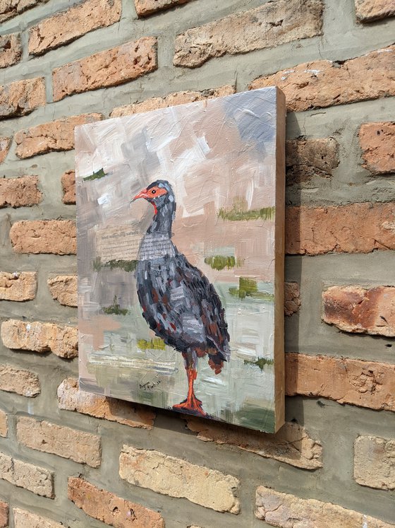 INKWARE (RED FRANCOLIN)