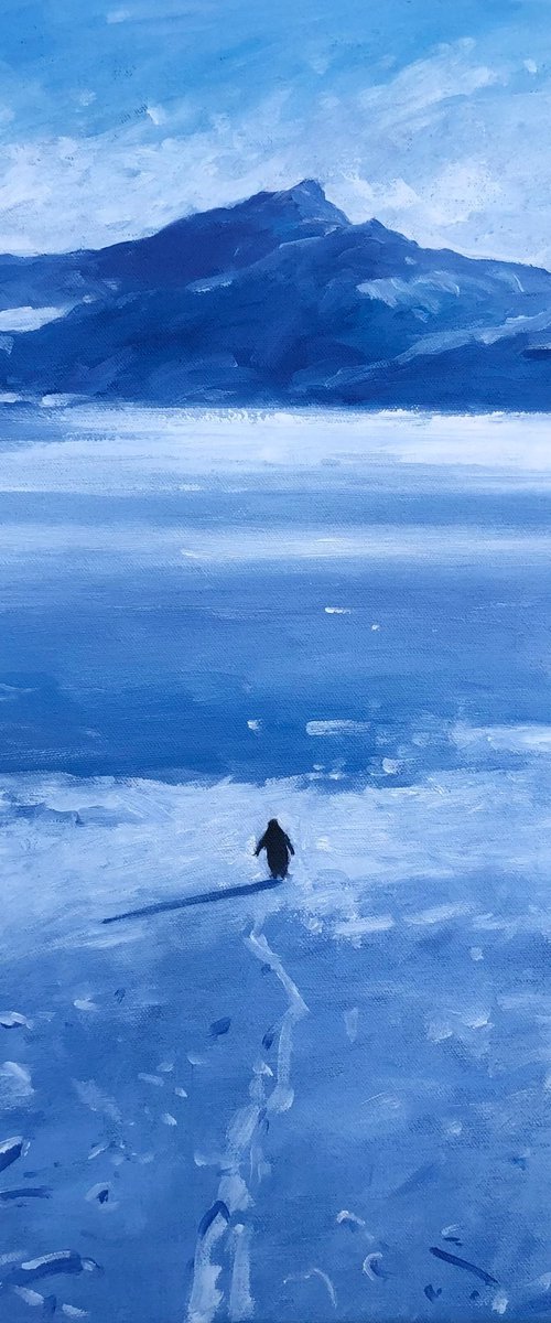 Lonely penguin, but why? by Volodymyr Smoliak